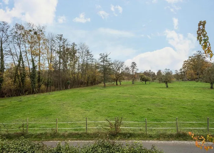 Steinhilber 2 Eriskirch